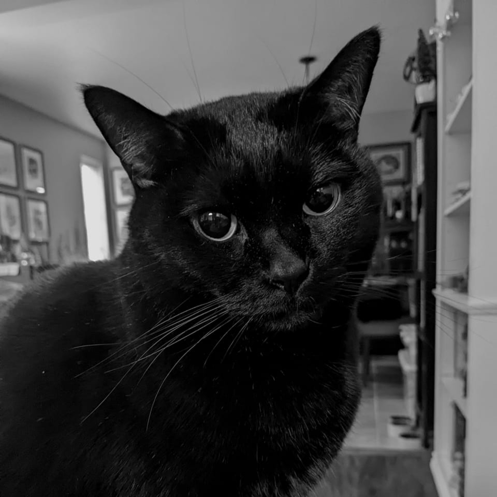 Meet your Posher, Madelyn